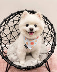 Cooling Dog Bandana - Pizza: M/L