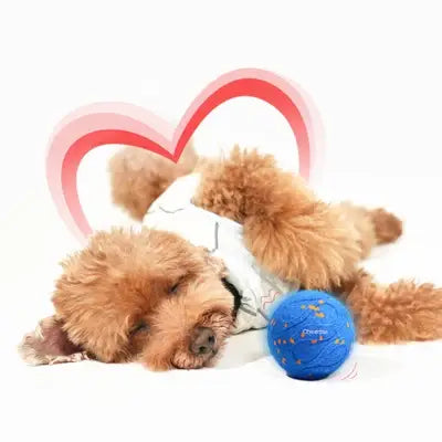 Wicked Ball Air: Blue