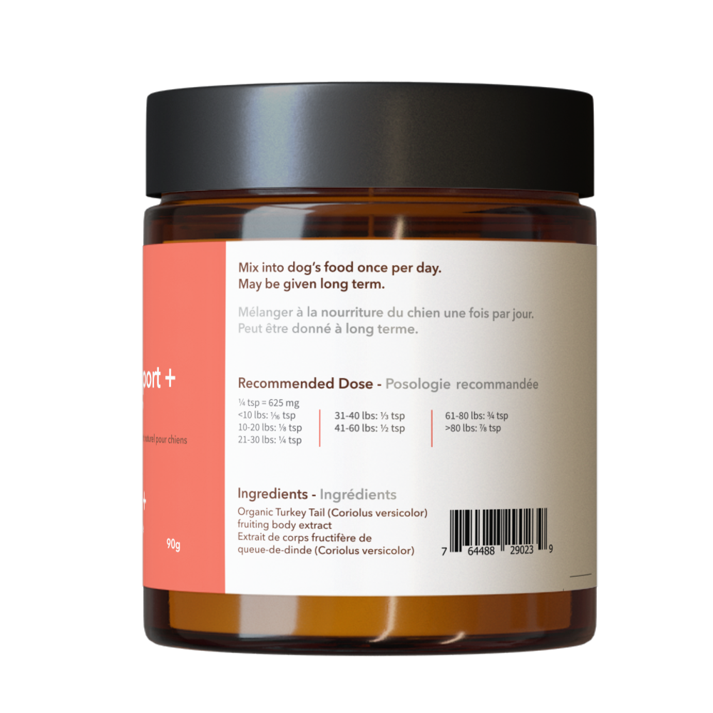 Immune Support + | Turkey Tail Mushroom: Single Jar - 90 g