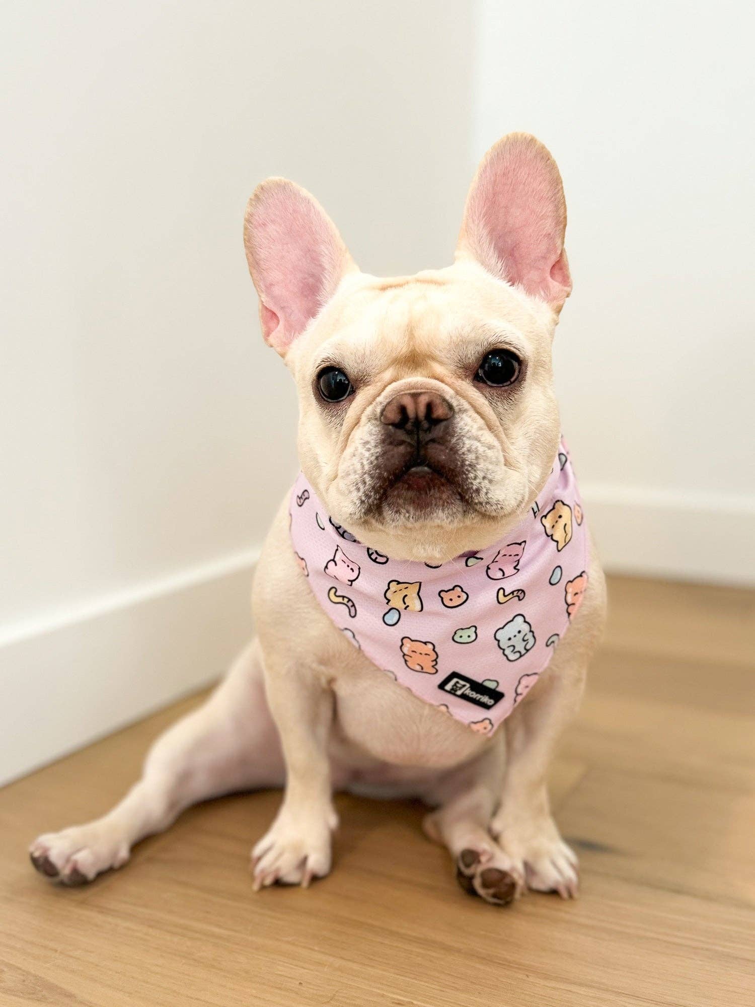 Cooling Dog Bandana - Gummy Bear: M/L