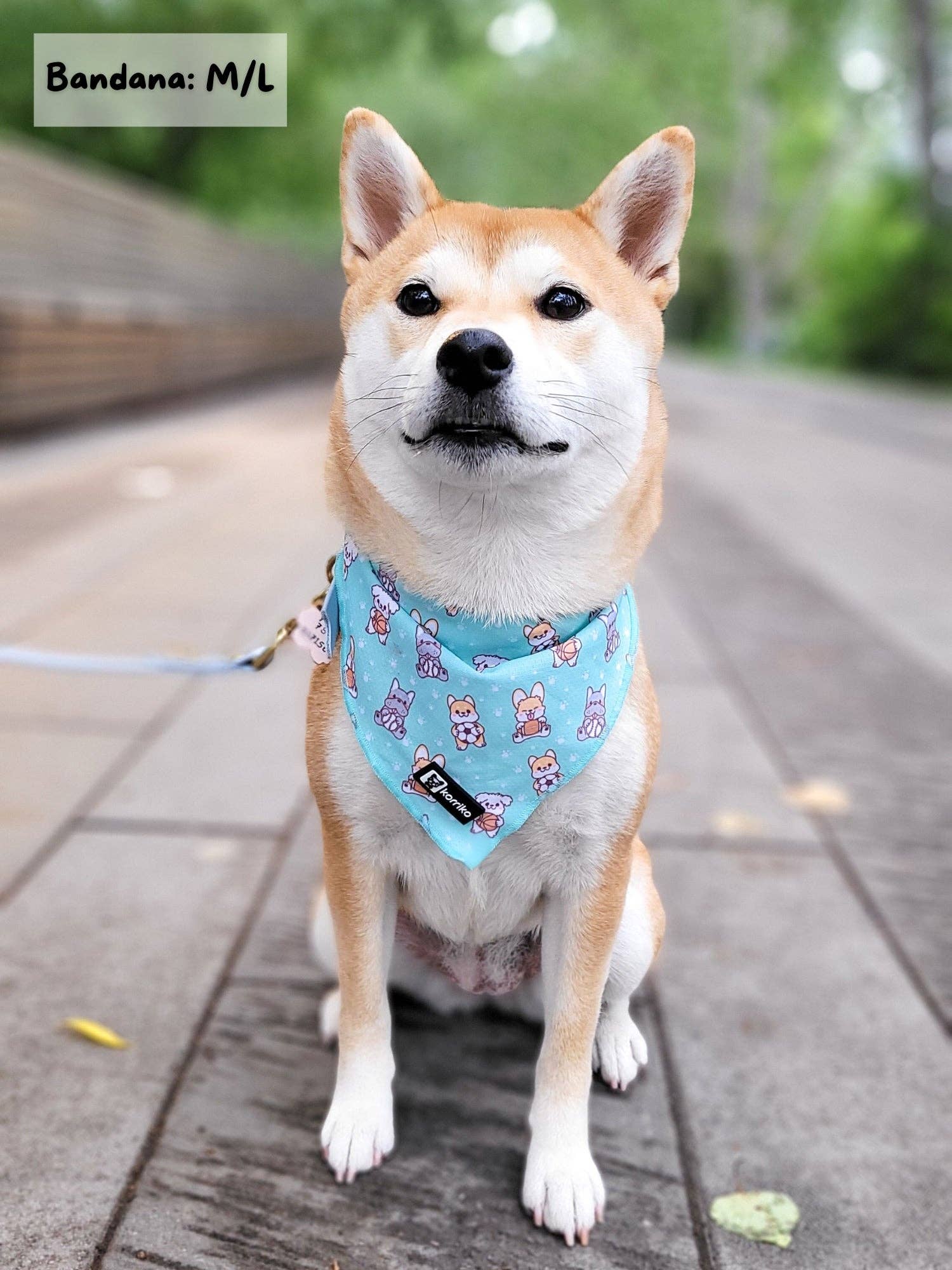 Cooling Dog Bandana - Dream Team: S/M
