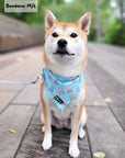 Cooling Dog Bandana - Dream Team: S/M