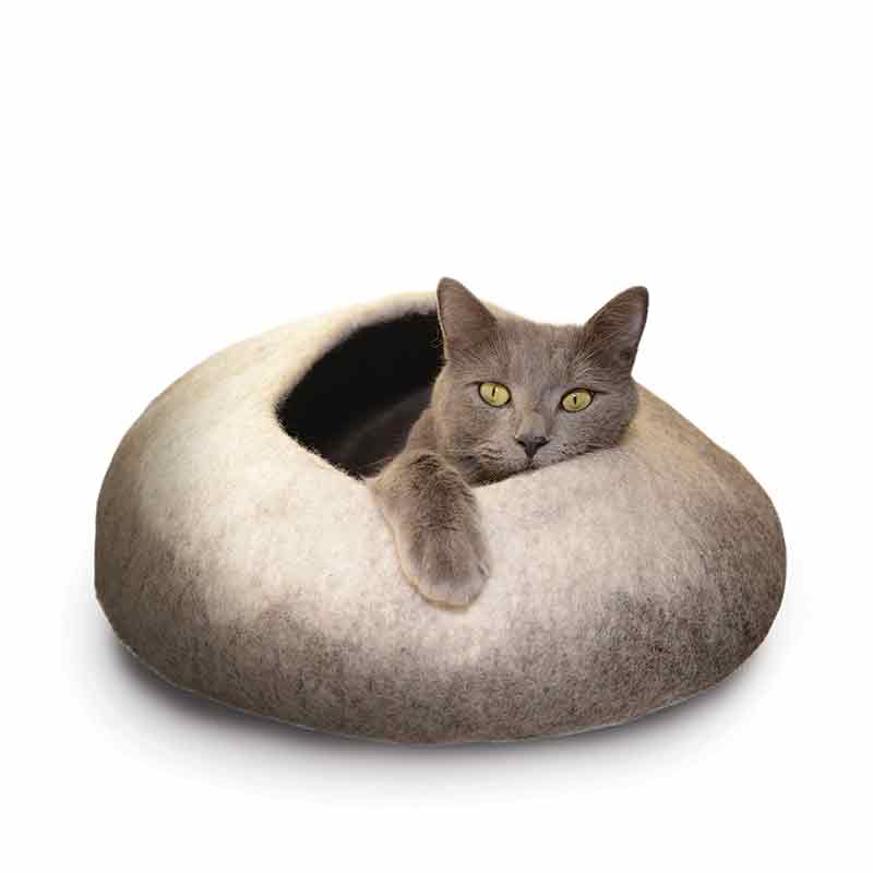 Cat - Cave - Ombre