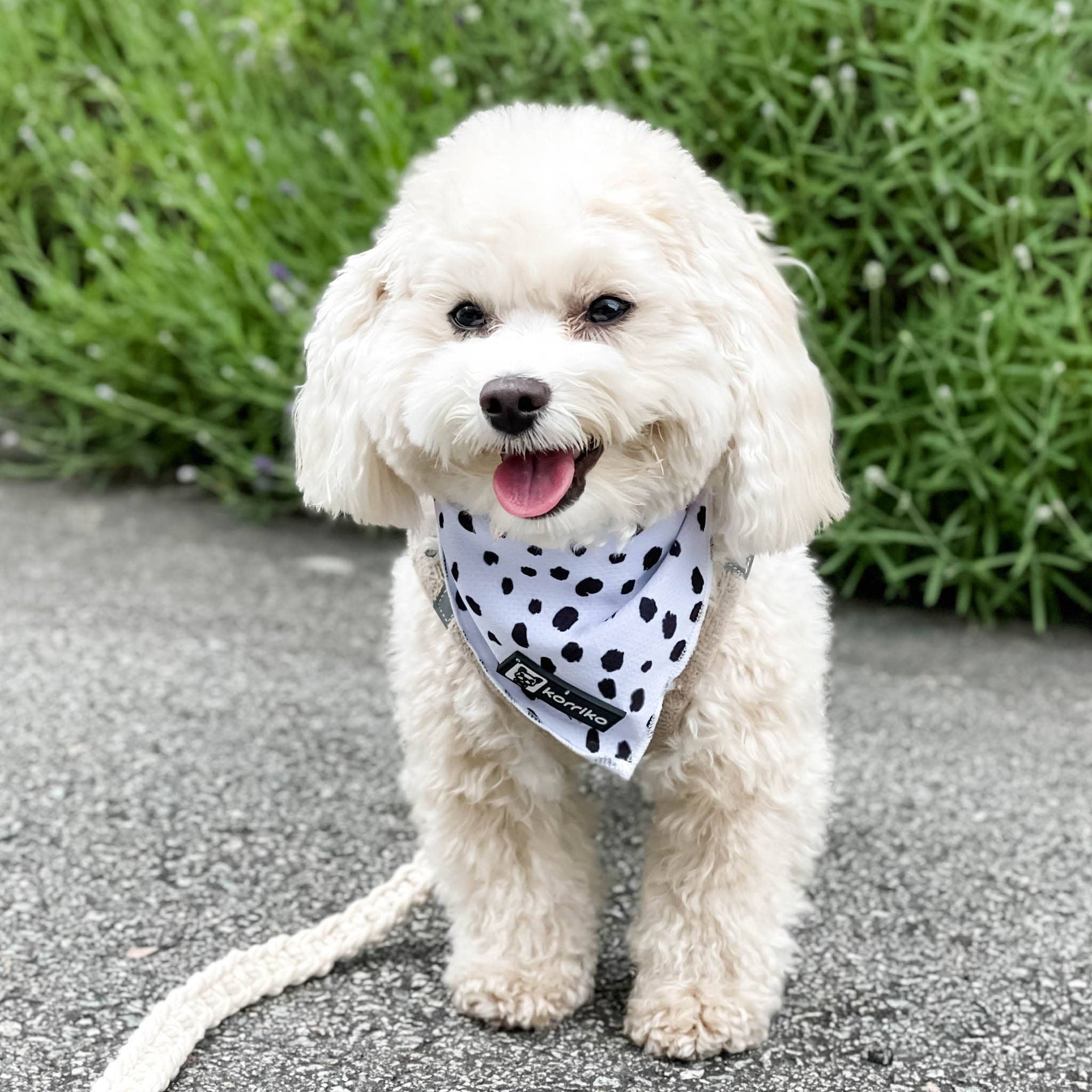 Cooling Dog Bandana - Spotted: S/M