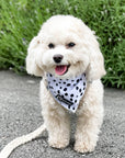 Cooling Dog Bandana - Spotted: S/M