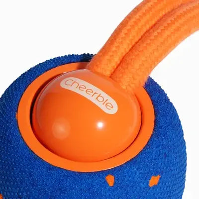 Wicked Ball Rolly: Orange