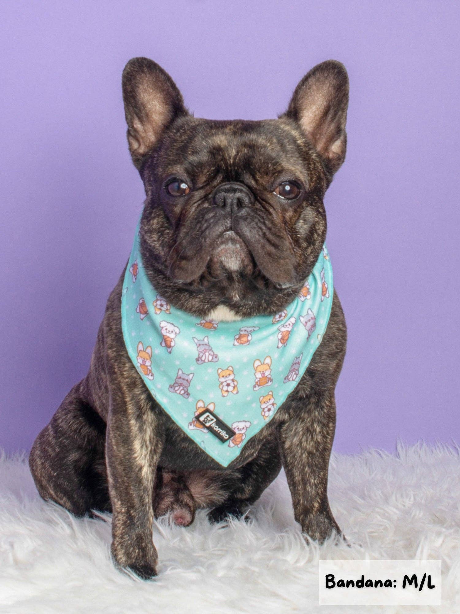 Cooling Dog Bandana - Dream Team: S/M