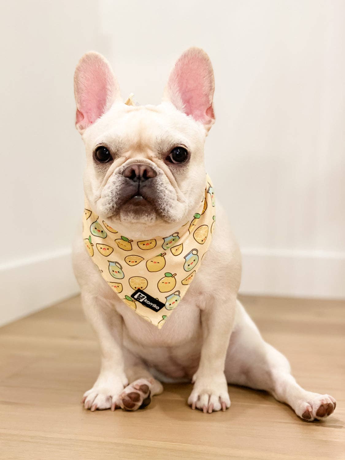 Cooling Dog Bandana - Lemonade: M/L
