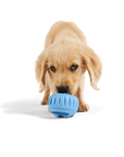 The Pupsicle - Exclusive Color: X-Large