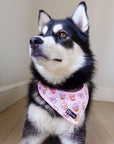 Cooling Dog Bandana - Taro Milk Tea: M/L