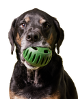 The Pupsicle: Small