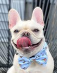 Dog Bow Tie - Under The Sea: S/M