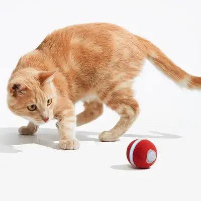 Cheerble Ball M3: Apricot