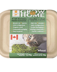Lucky Kitty Grow at Home Cat Grass