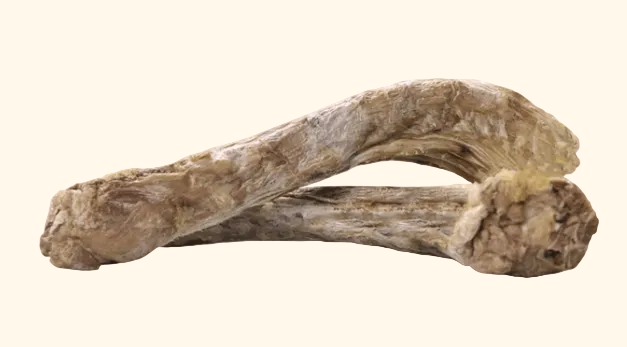 FD Raw Bar Duck Necks Snacks – Higgie's Pet