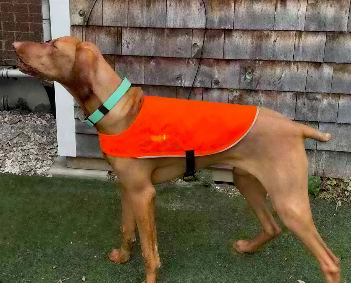 High-Visibility Vest
