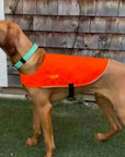High-Visibility Vest