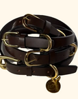 Leather Collar - 5/8" W