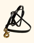 Leather Leash