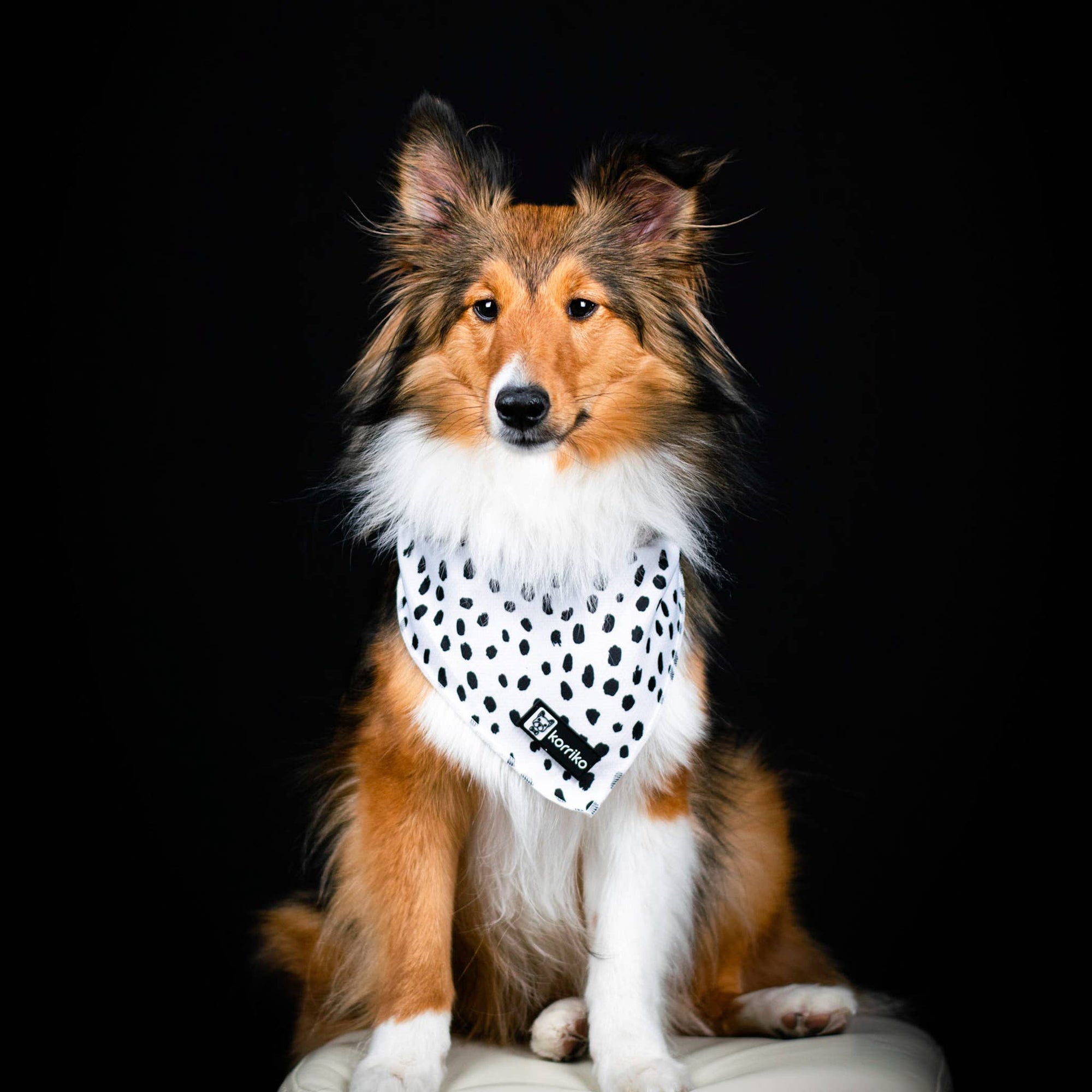 Cooling Dog Bandana - Spotted: S/M