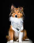 Cooling Dog Bandana - Spotted: S/M