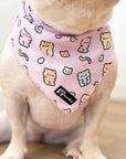 Cooling Dog Bandana - Gummy Bear: M/L