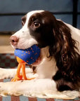 Wicked Ball Rolly: Orange