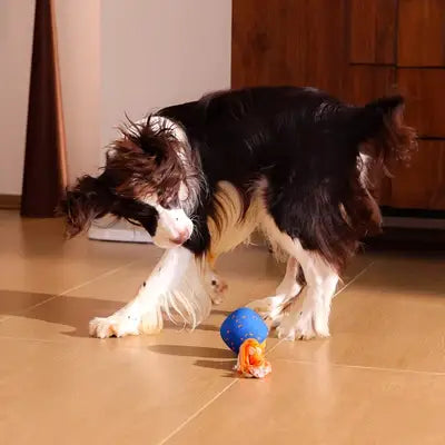 Wicked Ball Rolly: Orange