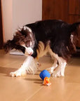 Wicked Ball Rolly: Orange