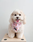 Cooling Dog Bandana - Taro Milk Tea: M/L
