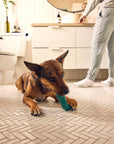 The Bite n' Brush (Small)