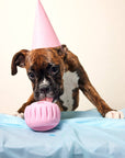 Party Pupsicle: Blue (Small)