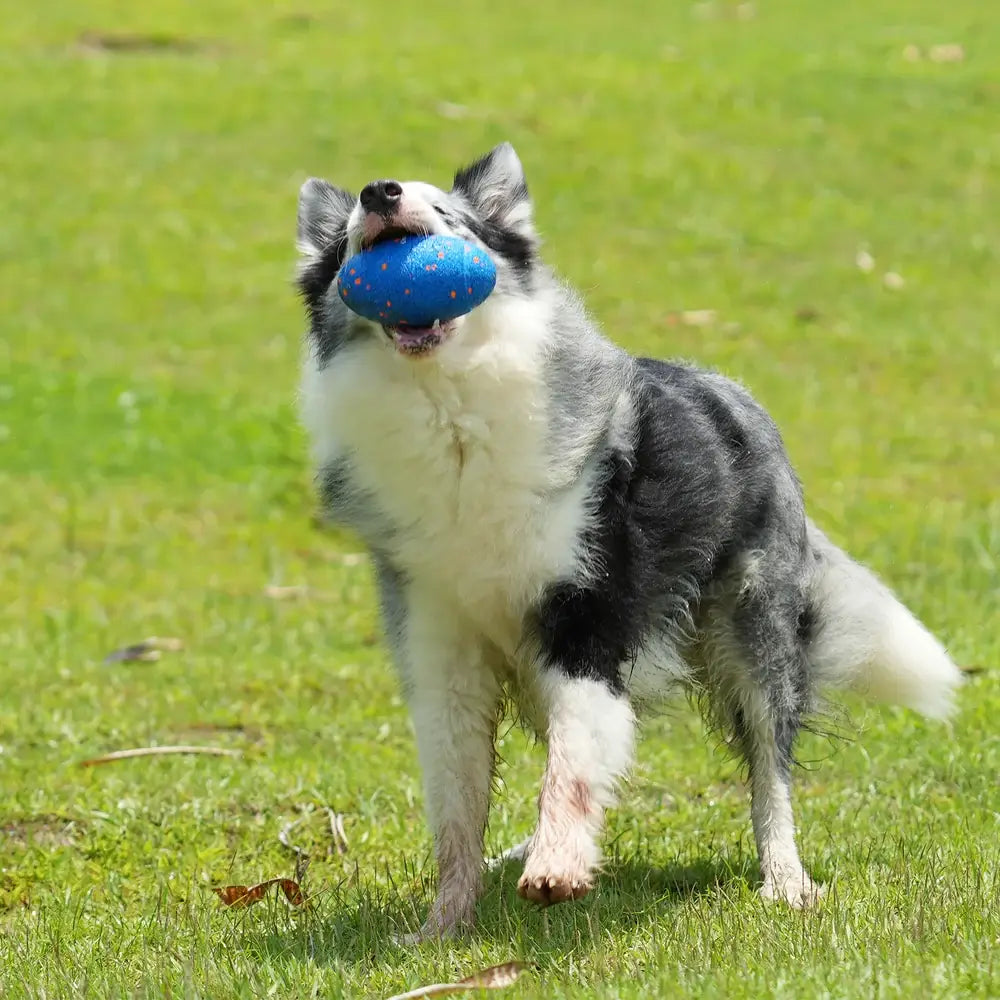 Cheerble Wicked Rugby: Blue