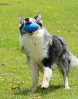 Cheerble Wicked Rugby: Blue