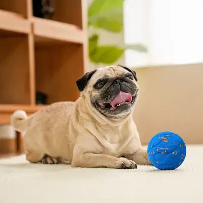 Wicked Ball Air: Orange