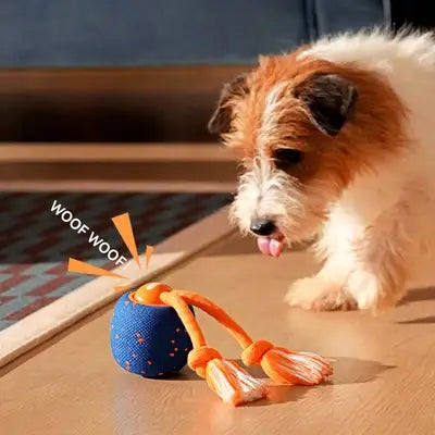 Wicked Ball Rolly: Orange