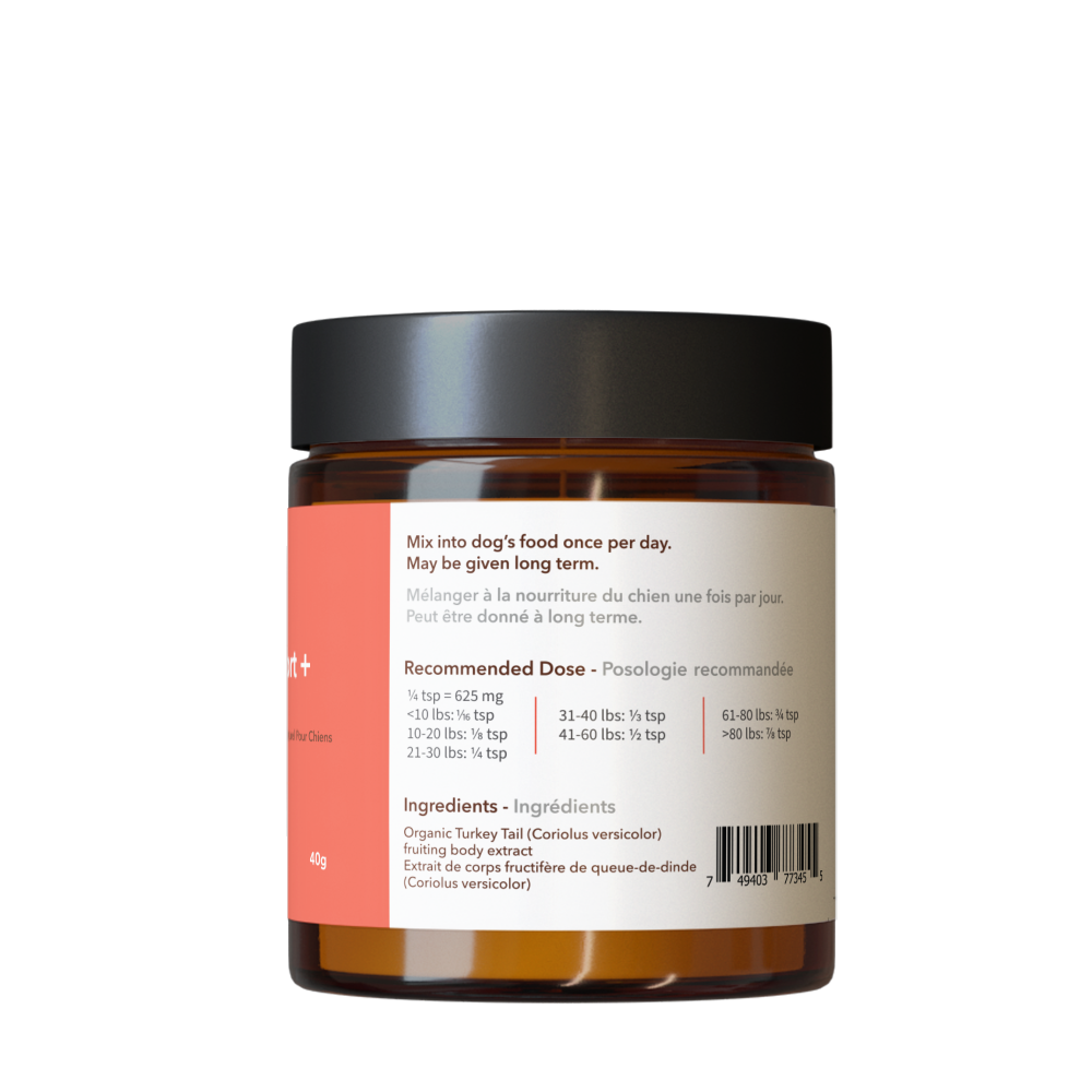 Immune Support + | Turkey Tail Mushroom: Single Jar - 90 g