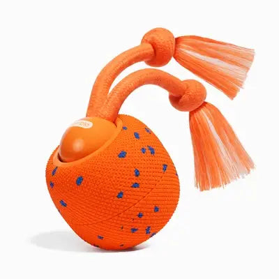 Wicked Ball Rolly: Orange