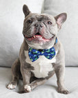 Dog Bow Tie - Dino: S/M