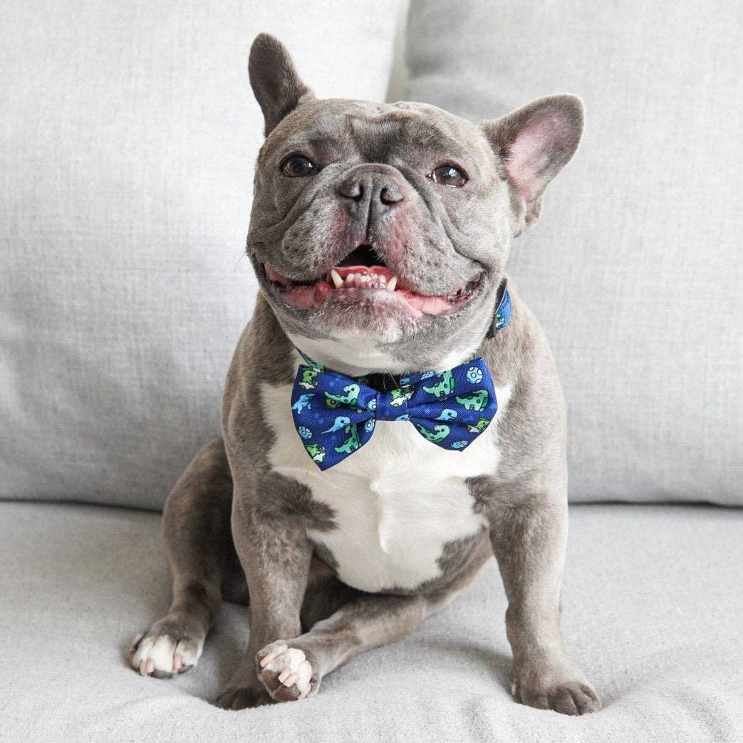 Dog Bow Tie - Dino: M/L