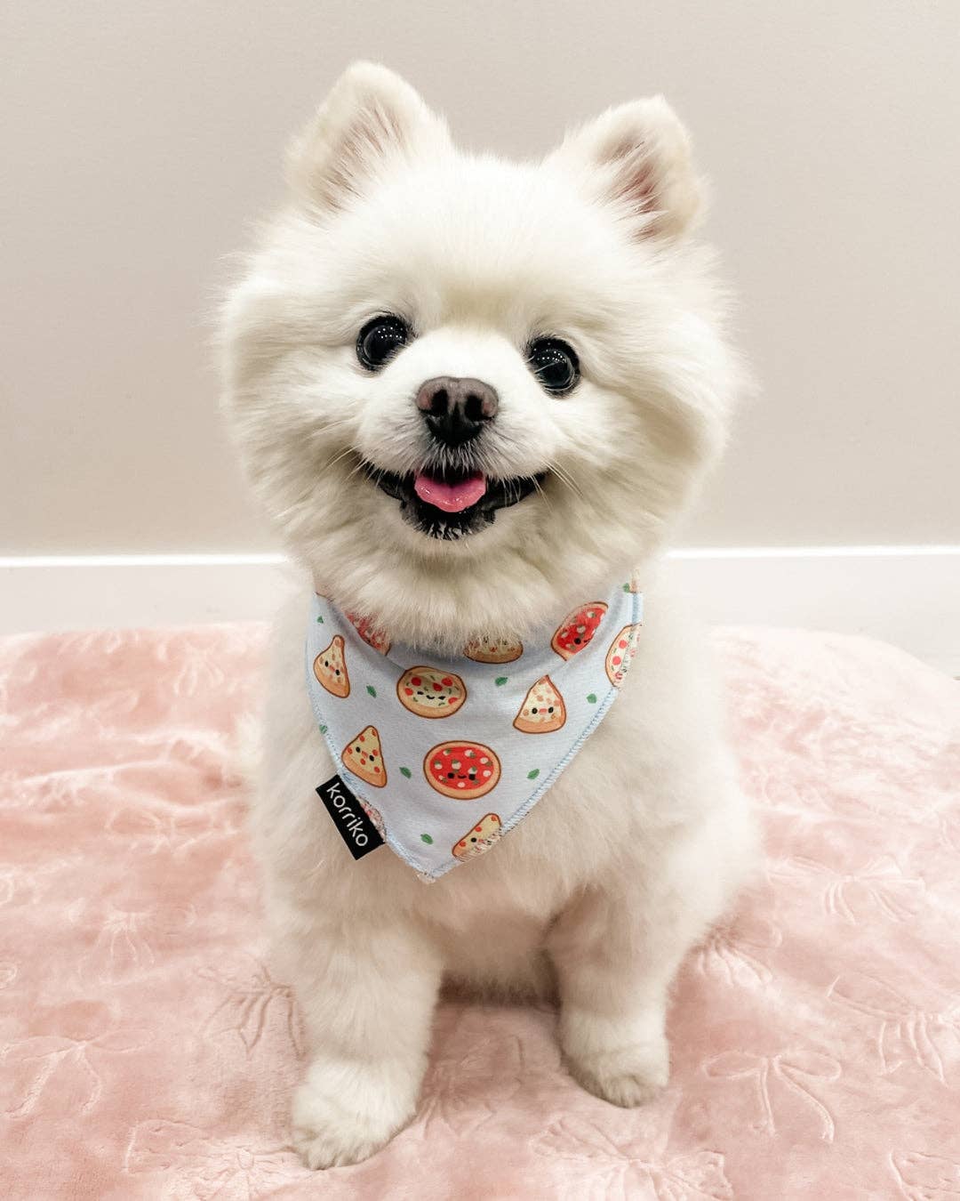 Cooling Dog Bandana - Pizza: S/M
