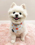 Cooling Dog Bandana - Pizza: M/L