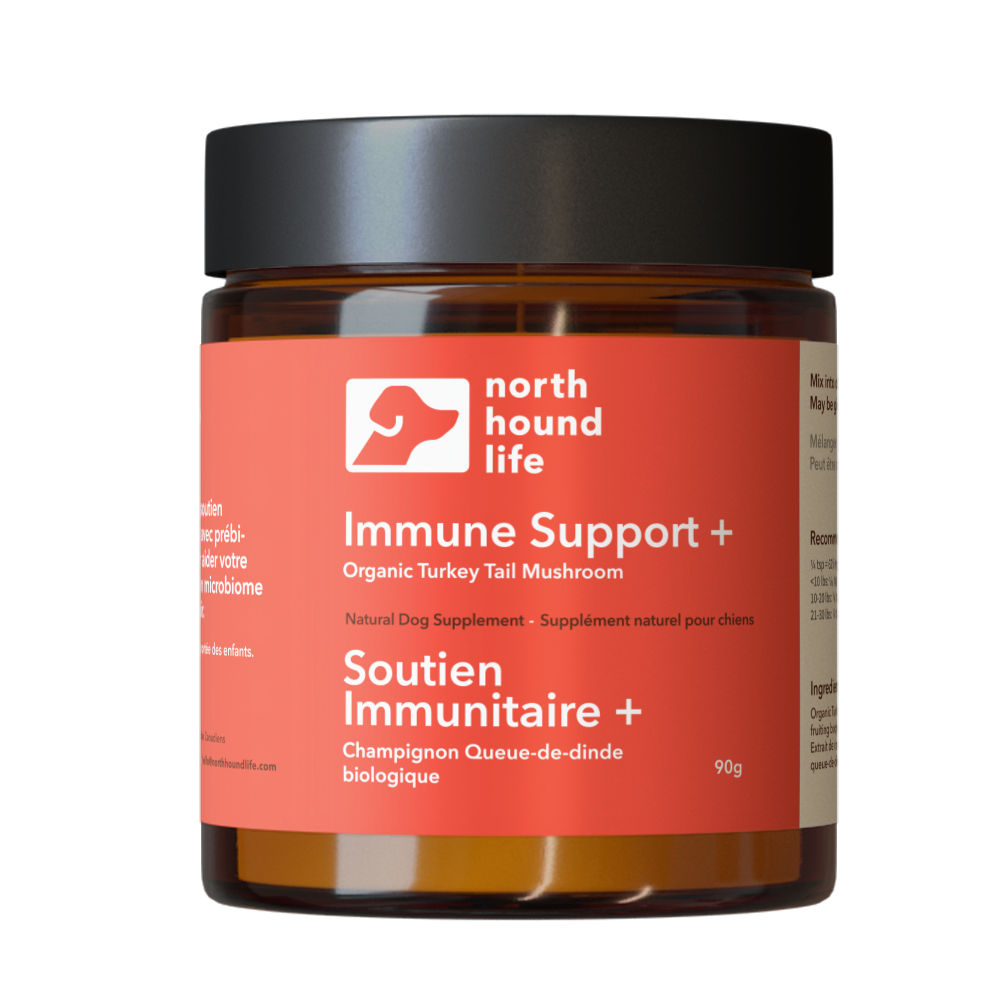 Immune Support + | Turkey Tail Mushroom: Single Jar - 90 g