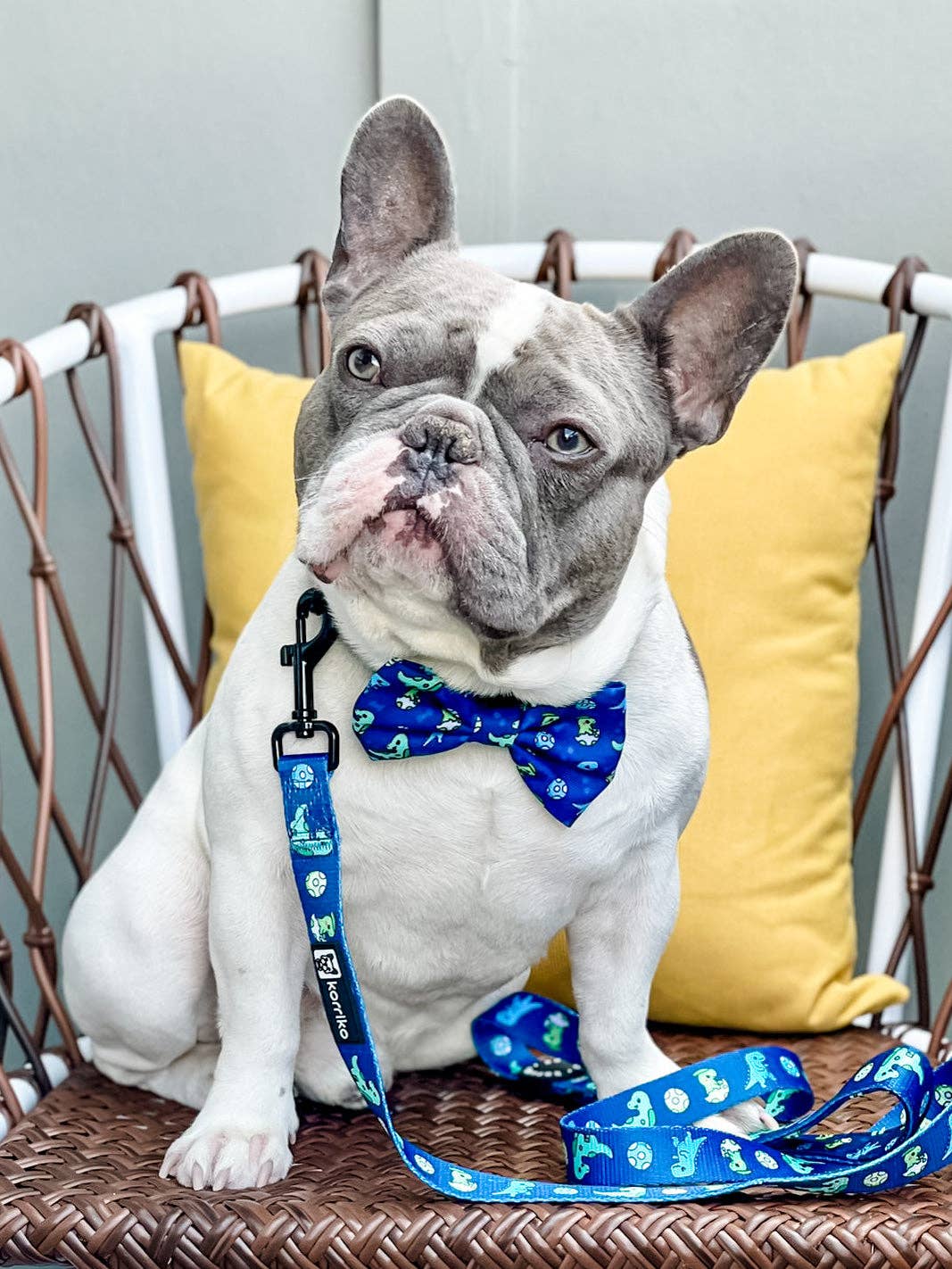 Dog Bow Tie - Dino: M/L