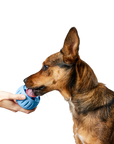 The Pupsicle - Exclusive Color: X-Large
