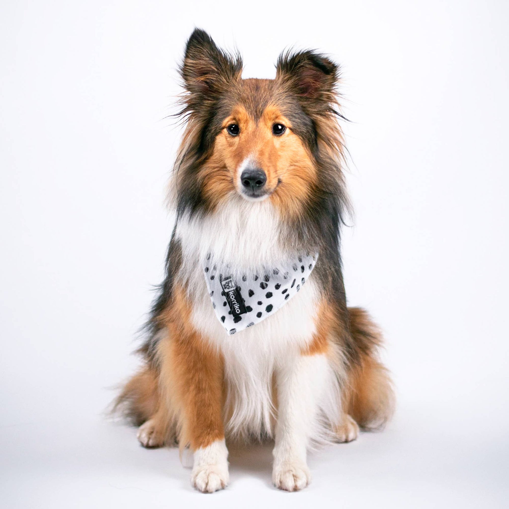Cooling Dog Bandana - Spotted: S/M
