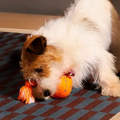 Wicked Ball Rolly: Orange