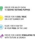 Under The Sea - Freeze 'N Float - Frog (Small)