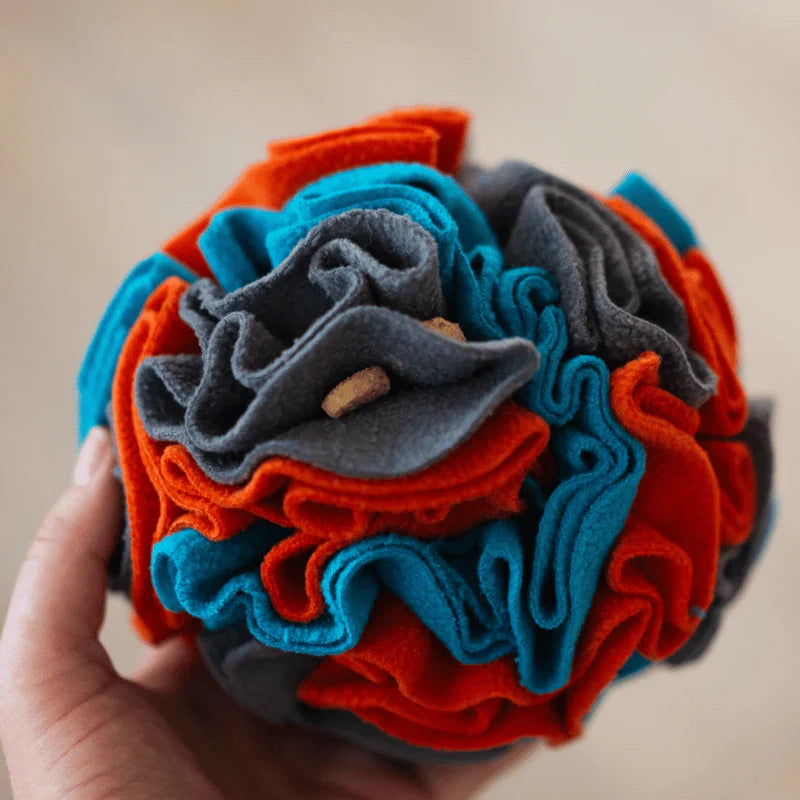 Forage - Ball