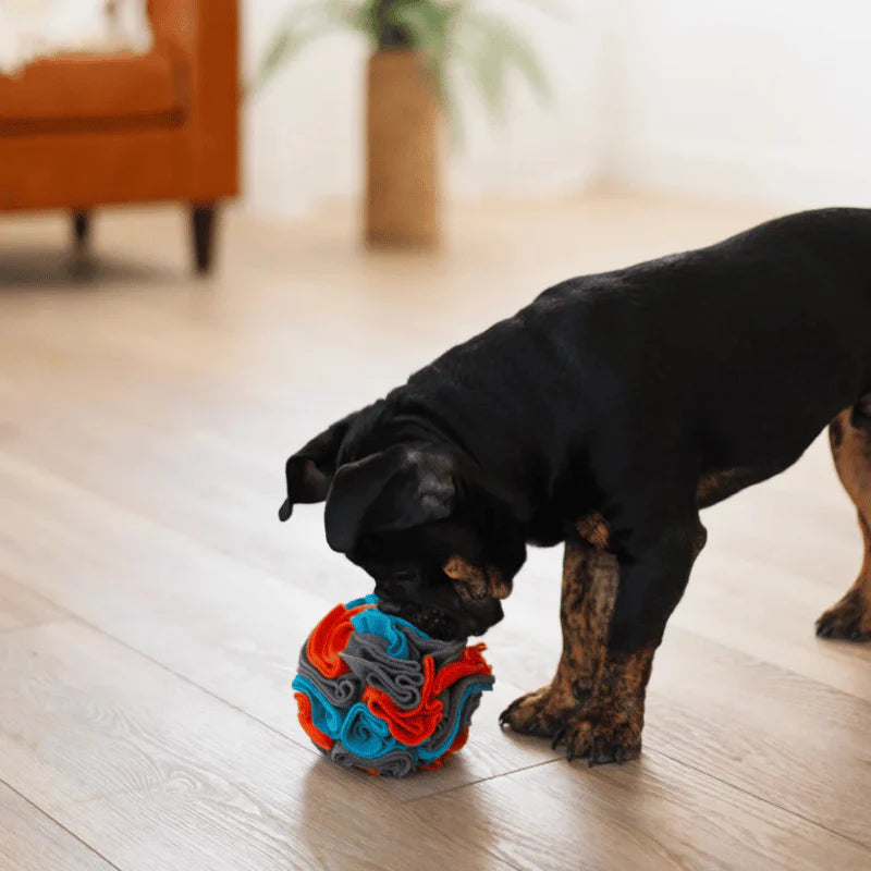 Forage - Ball